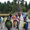09 b Schluchensteig Etappe 4 - 6